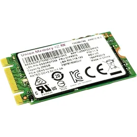 Lenovo Ramaxel S265 M.2 2242 256GB PC 01FR527