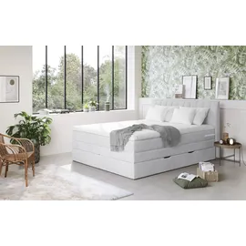 Cotta Boxspringbett COTTA "Shark inkl. Bettkasten und Topper", grau (argent), B:186cm L:212cm, 100% POLYESTER (PES), Komplettbetten, Boxspringbett, erhältlich in den Breiten 140x200cm, 160x200cm und 180x200cm, Topseller
