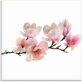Artland Glasbild »Magnolie«, Blumen, (1 St.), pink