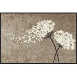 SALONLOEWE Wishfull Blossom 50 x 75 cm Beige