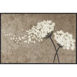 SALONLOEWE Wishfull Blossom 50 x 75 cm Beige