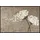 SALONLOEWE Wishfull Blossom 50 x 75 cm Beige