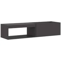 vidaXL - Feuerplatz Schwarz 160 x 45 x 35 cm, Kaltgewalzter Stahl.