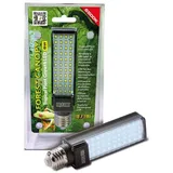 Exo Terra Canopy 8w LED Terrarienbeleuchtung