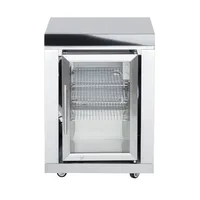 All'Grill Modul 10 Einzelkühlschrank 63 L