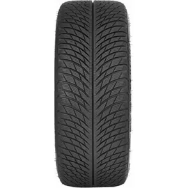 Michelin Pilot Alpin 5 RoF 225/50 R17 98H