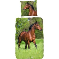 Kinderbettwäsche Running horse, good morning, Renforcé, 2 teilig, mit Pferden grün 1 St. x 140 cm x 220 cm