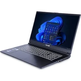 WORTMANN Terra Mobile 1778R i7-13700H W11P
