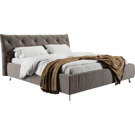 Home Affaire Polsterbett HOME AFFAIRE "Elloree in 4 Breiten bis 200cm, auch in Leder", grau (stone), B:236cm H:105cm L:254cm, 100% Polyester, Betten, Polsterbett, Kopfteilhöhe 105cm, belastbar bis 280 kg, auch in Überlänge 220cm