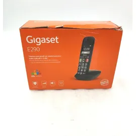 Gigaset E290