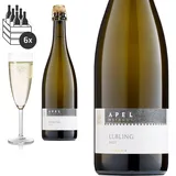 6er Karton Elbling Sekt brut von Weingut Hubertus M. Apel - Sekt