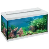 Eheim aquastar 54 LED weiß Aquarium-Set