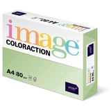 Image Antalis Coloraction A4 80g/qm Jungle 500 Blatt