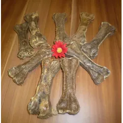 KNOCHEN AUS PANSEN 10 cm