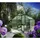 KGT Orchidee IV Alu moosgrün HKP 10 mm 12,75 m2