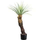 Creativ green Kunstpflanze Yucca Rostrata Yucca, Creativ green, Höhe 93 cm, mit außergewöhnlichem Stamm grau|grün 93 cm