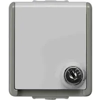 Siemens Schuko-Steckdose 5UB4714 Grau