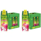 Rauch Happy Day Drachenfrucht| mysteriöser Name, mysteriöses Aussehen | einzigartiger Geschmack | unvergesslicher Genuss |6x 1l Tetra Prisma (Packung mit 2)