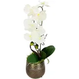 Orchidee, Weiß, Keramik, 19x56 cm, Dekoration, Kunstblumen