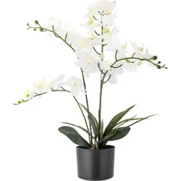 Bloomingville Künstliche Orchidee,