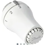 Danfoss Thermostatkopf RAS-DK 5169 Heizkörperthermostat M30x1,5