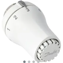 Danfoss Thermostatkopf RAS-DK 5169 Heizkörperthermostat M30x1,5