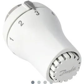 Danfoss Thermostatkopf RAS-DK 5169 Heizkörperthermostat M30x1,5