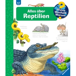 Alles über Reptilien, Kinderbücher von Patricia Mennen