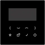 Jung Display für Smart Radio DAB LS BT-DISP SW