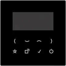 Jung Display für Smart Radio DAB LS BT-DISP SW