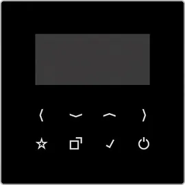 Jung Display für Smart Radio DAB LS BT-DISP SW