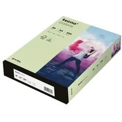 Inapa tecno Farbige Papiere »Rainbow / tecno Colors« grün