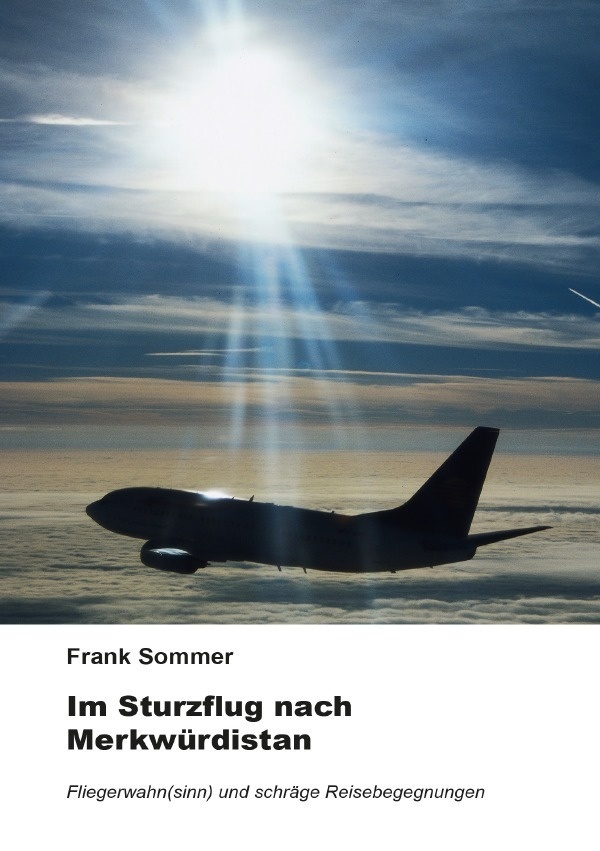 Im Sturzflug Nach Merkwürdistan - Frank Sommer  Kartoniert (TB)