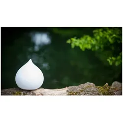 DEW Design Schwimmleuchte 30x28 cm inkl. App Steuerung