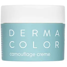 Kryolan GmbH Dermacolor Camouflage Creme D7