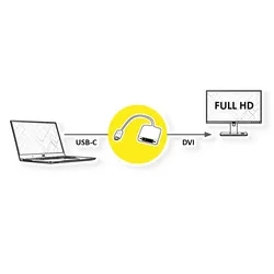 ROLINE Display Adapter USB Typ C - DVI