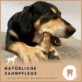 Supravit Olivenholz Hundespielzeug S grün