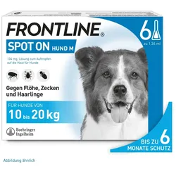 FRONTLINE SPOT ON HUND M gegen Zecken, Flöhe & Haarlinge  6 St Lösung
