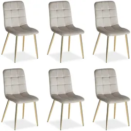 Homestyle4u Esszimmerstuhl Samt Beige/Grau 6er Set