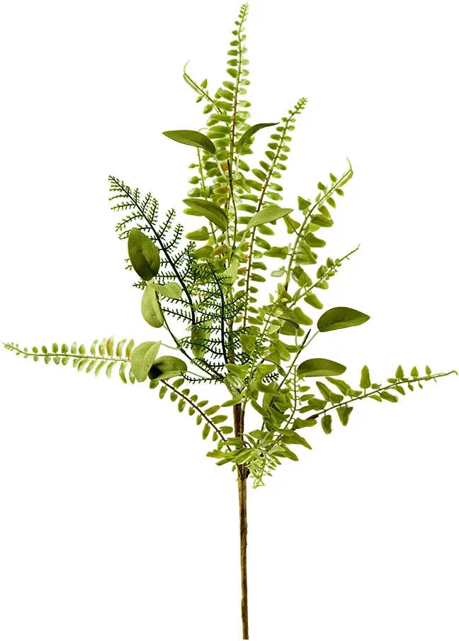Farnmix Zweig 55cm grün