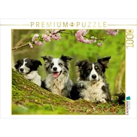 Calvendo Bordercollie Familie Puzzle