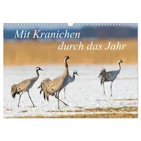 Calvendo Mit Kranichen durch das Jahr (Wandkalender 2026 DIN
