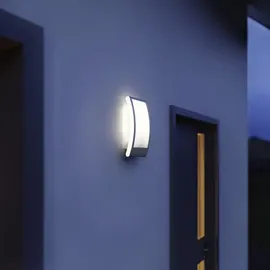 Steinel Außenleuchte L 22 N mit Dämmerungssensor Anthrazit