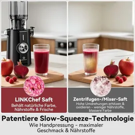 canoly Slow Juicer schwarz