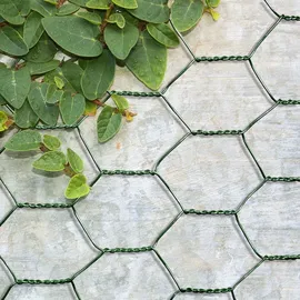 casa pura Maschendrahtzaun Sechseckgeflecht 1,0 x 10 m grün