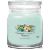 Yankee Candle Aloe & Agave Duftkerze 368 g grün