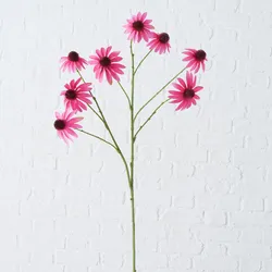 Stielblume RUDBECKIA - bunt