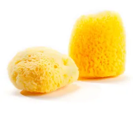 Grünspecht Naturprodukte Baby-Naturschwamm - Zimocca Duschschwämme