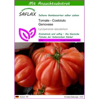 SAFLAX - Tomate - Costoluto Genovese - 10 Samen