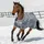 Bucas Smartex Turnout Medium Classic 150g 165 cm Grau